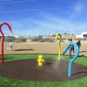 Dog-park-2