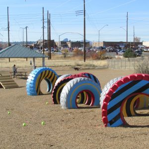 Dog-park-3