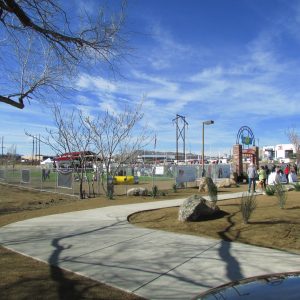 Dog-park-4