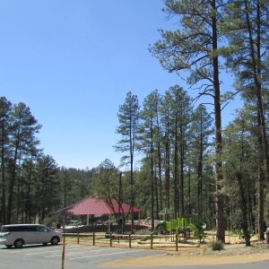 GWL-Pinetop-1