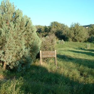acker_park_img3
