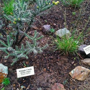 community_nature_center_open_space_preserve_img2