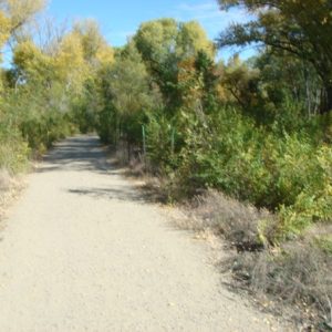 downtown_prescott_greenways_trail_img2