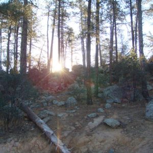 flinn_park_img2