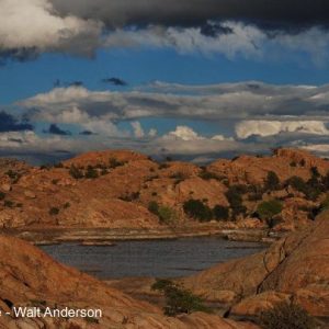 willow_lake_park_img1