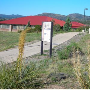 willow_lake_park_img3-1